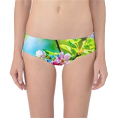 Crab Apple Flowers Classic Bikini Bottoms by FunnyCow