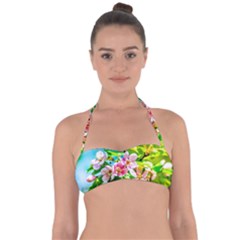 Crab Apple Flowers Halter Bandeau Bikini Top by FunnyCow