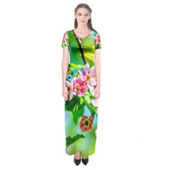 Crab Apple Flowers Short Sleeve Maxi Dress by FunnyCow