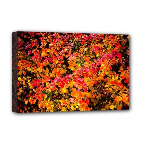 Orange, Yellow Cotoneaster Leaves In Autumn Deluxe Canvas 18  X 12   by FunnyCow