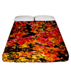 Orange, Yellow Cotoneaster Leaves In Autumn Fitted Sheet (queen Size) by FunnyCow