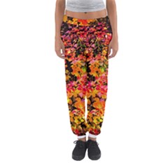 Orange, Yellow Cotoneaster Leaves In Autumn Women s Jogger Sweatpants by FunnyCow