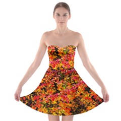 Orange, Yellow Cotoneaster Leaves In Autumn Strapless Bra Top Dress by FunnyCow