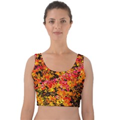 Orange, Yellow Cotoneaster Leaves In Autumn Velvet Crop Top