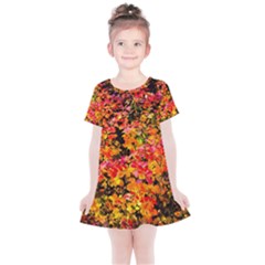 Orange, Yellow Cotoneaster Leaves In Autumn Kids  Simple Cotton Dress