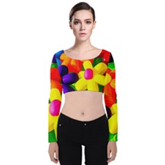 Toy Balloon Flowers Velvet Crop Top