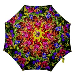 Viola Tricolor Flowers Hook Handle Umbrellas (small) by FunnyCow