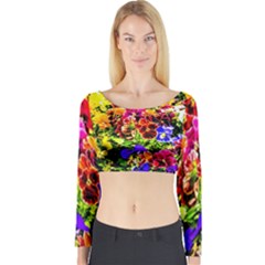 Viola Tricolor Flowers Long Sleeve Crop Top by FunnyCow