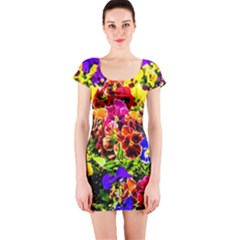 Viola Tricolor Flowers Short Sleeve Bodycon Dress by FunnyCow