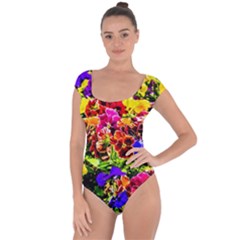 Viola Tricolor Flowers Short Sleeve Leotard  by FunnyCow