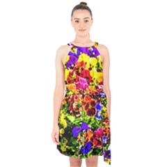 Viola Tricolor Flowers Halter Collar Waist Tie Chiffon Dress by FunnyCow