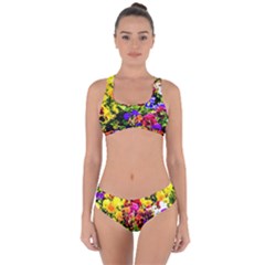 Viola Tricolor Flowers Criss Cross Bikini Set by FunnyCow