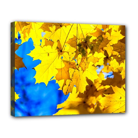 Yellow Maple Leaves Canvas 14  X 11  by FunnyCow