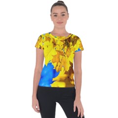 Yellow Maple Leaves Short Sleeve Sports Top  by FunnyCow