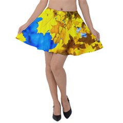 Yellow Maple Leaves Velvet Skater Skirt by FunnyCow