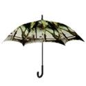 There Is No Promissed Rain 5 Hook Handle Umbrellas (Large) View3