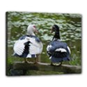 Muscovy Ducks at the Pond Canvas 20  x 16  View1