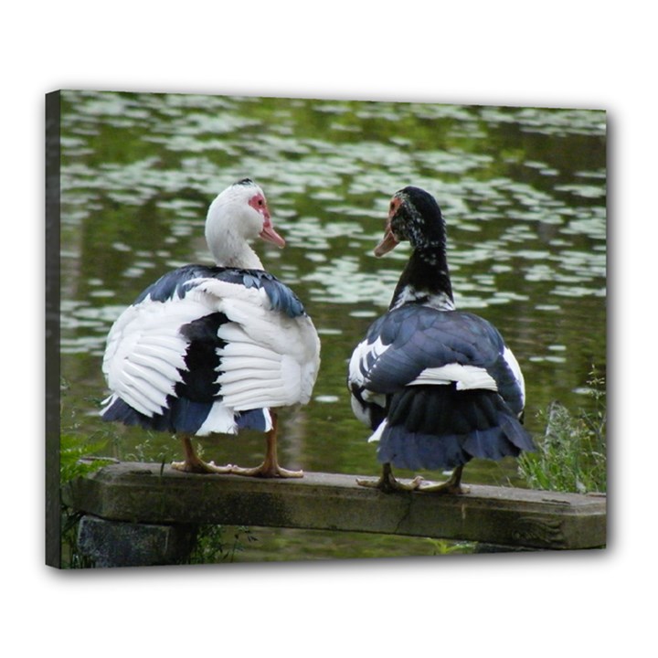 Muscovy Ducks at the Pond Canvas 20  x 16 