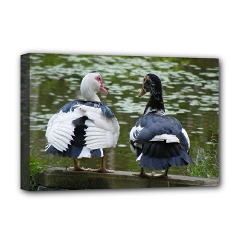 Muscovy Ducks At The Pond Deluxe Canvas 18  X 12   by IIPhotographyAndDesigns