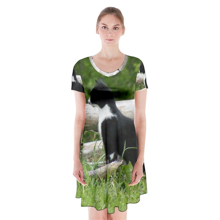 Farm Cat Short Sleeve V-neck Flare Dress