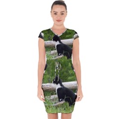 Farm Cat Capsleeve Drawstring Dress  by IIPhotographyAndDesigns