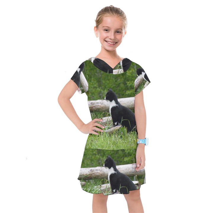 Farm Cat Kids  Drop Waist Dress