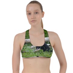 Farm Cat Criss Cross Racerback Sports Bra by IIPhotographyAndDesigns