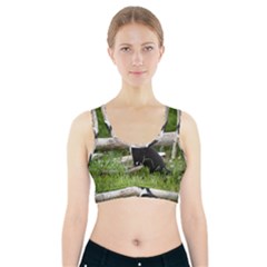 Farm Cat Sports Bra With Pocket by IIPhotographyAndDesigns