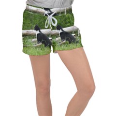 Farm Cat Women s Velour Lounge Shorts by IIPhotographyAndDesigns