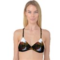 Autumn Pond Reversible Tri Bikini Top View3