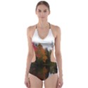 Autumn Pond Cut-Out One Piece Swimsuit View1