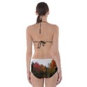 Autumn Pond Cut-Out One Piece Swimsuit View2