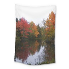 Autumn Pond Small Tapestry