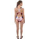 Independence Day, Eagle With Usa Flag Cut-Out Back One Piece Swimsuit View2