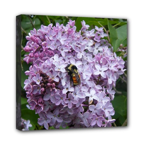 Lilac Bumble Bee Mini Canvas 8  X 8  by IIPhotographyAndDesigns