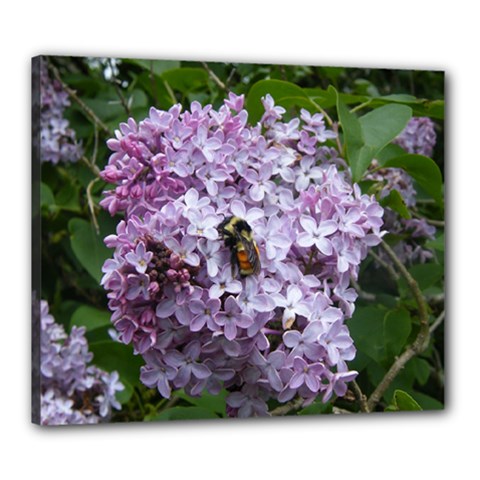 Lilac Bumble Bee Canvas 24  X 20  by IIPhotographyAndDesigns