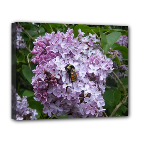 Lilac Bumble Bee Deluxe Canvas 20  X 16   by IIPhotographyAndDesigns