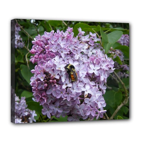 Lilac Bumble Bee Deluxe Canvas 24  X 20  