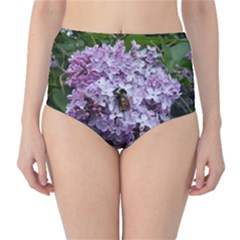 Lilac Bumble Bee Classic High-waist Bikini Bottoms