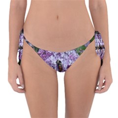 Lilac Bumble Bee Reversible Bikini Bottom