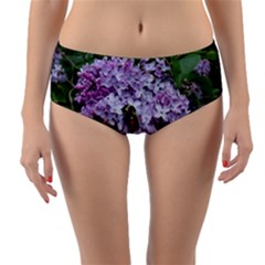 Lilac Bumble Bee Reversible Mid-waist Bikini Bottoms by IIPhotographyAndDesigns