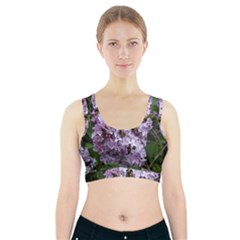 Lilac Bumble Bee Sports Bra With Pocket by IIPhotographyAndDesigns