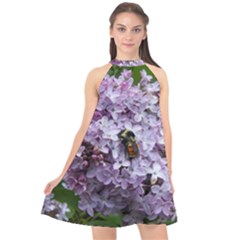 Lilac Bumble Bee Halter Neckline Chiffon Dress 