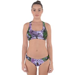 Lilac Bumble Bee Cross Back Hipster Bikini Set