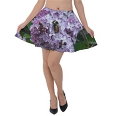 Lilac Bumble Bee Velvet Skater Skirt