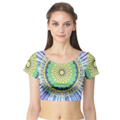 Power Mandala Sun Blue Green Yellow Lilac Short Sleeve Crop Top by EDDArt