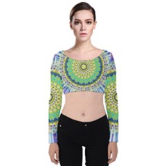 Power Mandala Sun Blue Green Yellow Lilac Velvet Crop Top by EDDArt