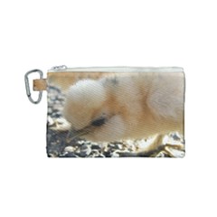 Silkie Chick  Canvas Cosmetic Bag (small)