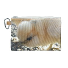 Silkie Chick  Canvas Cosmetic Bag (large)