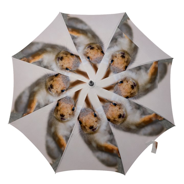 Curious Squirrel Hook Handle Umbrellas (Medium)